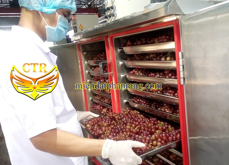 xưởng sấy nho khô cánh trắng phan rang